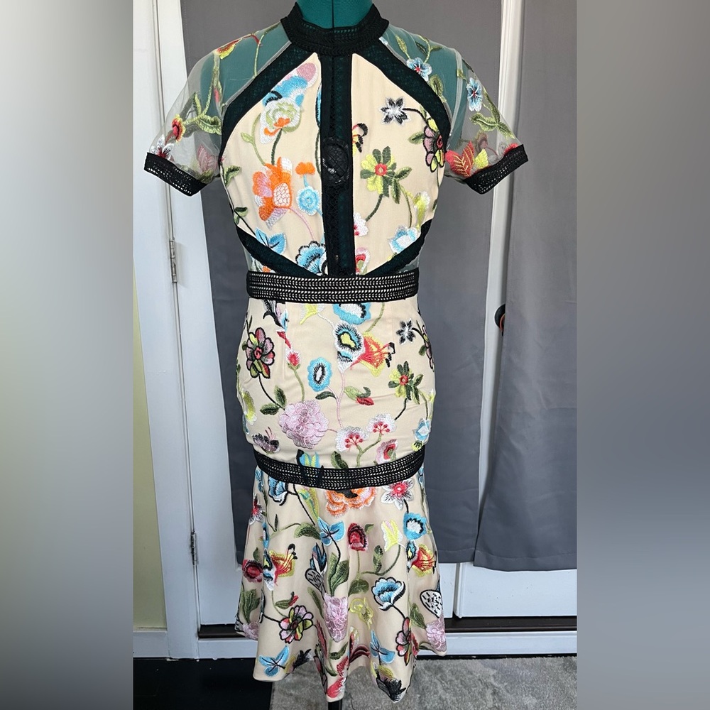 Vone Anthropologie floral embroidered dress size 4
